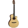 Image de Ntx3 Natural Folk électro cordes nylon