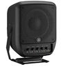 Image de Enceinte STAGEPAS 100