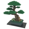 Image de block-nanoblock-NB-039-Advanced Hobby Series Bonsai Matsu Jouet, NB-039, Multicolore