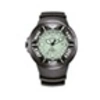 Image de Montre Homme BJ805504X Bracelet s Solaire Promaster