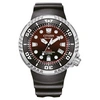 Image de Montre Homme BN102401Z Bracelet s Solaire Promaster
