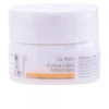 Image de Baume À Lèvres - Dr. Hauschka Soin des lèvres 45 ml