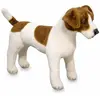 Image de Peluche jack russell