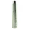 Image de Platinum Working spray - Kenra Soins capillaires 283 g