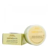 Image de Control Paste Définition Sous Tenue Souple - Aveda Soins capillaires 75 ml