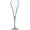 Image de Flûtes effervescent 20cl - Lot de 6