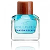 Image de Canyon Escape Pour Lui - Hollister Eau De Toilette Spray 50 ml