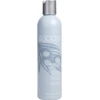 Image de Moisture Conditioner - Abba Soins capillaires 236 ml