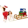 Image de Décoration de noël Chien et Traîneau avec 170 Lumières