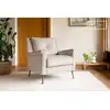 Image de Fauteuil en velours gris