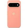 Image de Coque Pixelsnap Magnetic pour Google Pixel 11 Pro - Canyon