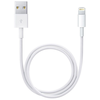 Image de Apple Câble Lightning vers USB-A - 0,5 mètre - Blanc