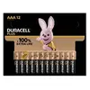 Image de Pack de 12 Piles alcalines Plus type L0R3 AAA