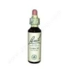 Image de FLEURS DE BACH Larch (20 ml)