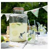 Image de Distributeur de boisson Kilner 5 L