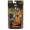 Image de Figurine Legends Series Sabretooth X-Men