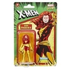 Image de Figurine Legends Retro Dark Phoenix