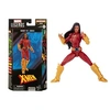 Image de Figurine X-Men Legends 4