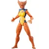 Image de Figurine Hasbro Marvel Legends Series Wolfsbane Jaune 15 cm 5010996222428