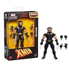Image de Figurine Legends Series X-treme X-Men Wolverine