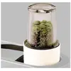 Image de AT320B MINI-CUVES EN VERRE