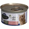 Image de Butcher's Dîner Classique Délicieux Saumon Avec Crevettes Nourriture Humide Pour Chat