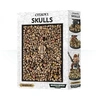 Image de Citadel : Boite De Cranes / Skulls
