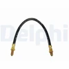 Image de Flexible De Frein Delphi Lh6169 Jaguar