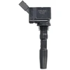 Image de Bobine D'Allumage Gn10631-12b1 Delphi Delphi Gn1063112b1 Audi;Cupra;Seat;Skoda;Volkswagen