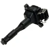 Image de Bobine D'Allumage Gn10016-12b1 Delphi Delphi Gn1001612b1 Bmw
