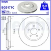 Image de Disque De Frein Delphi Bg5171c Ford Usa