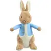 Image de Peluche Rainbow Designs Peter Rabbit Beige 13x12x24 cm PO2025