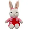 Image de Peluche Rainbow Designs Talking Lily Bobtail Gris 22x18x30 cm PO2106