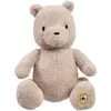 Image de Peluche Rainbow Designs WTP 100 Commemorative Marron 22,40x18x29,50 cm DN2476