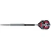 Image de Fléchettes Assassin 80 steel 21g bleu