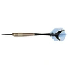 Image de Set de 3 fléchettes Silver Shark Arrow 21g Steeltip