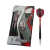 Image de Fléchettes Ace steel 20g R