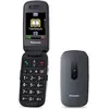 Image de Téléphone portable KX-TU446EXG 6,1 cm (2.4') 110 g Gris pour seniors
