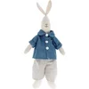 Image de Peluche Rex London Bertie The Bunny Bleu 16x9x40 cm 30920
