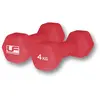Image de Haltère hexagonal recouverts de néoprène UFE (x2) Rouge 2x4 kg UFW035