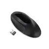 Image de Kensington Pro Fit Ergo Wireless Mouse (K75404EU)