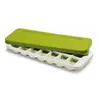 Image de QUICKSNAP PLUS