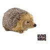 Image de - peluche herisson