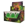 Image de Kit créatif Grand ouf triceratops à éclore