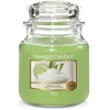 Image de Yankee Candle bougie jarre parfumée | moyenne taille | Vanille et citron vert | jusqu’à 75 heures de combustion en occasion ou reconditionné