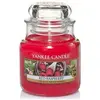 Image de - Bougie jarre en verre senteur framboise rouge Moyen modèle