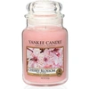 Image de Bougie parfumée - - Fleur de cerisier - Grande jarre - 623 g - Intérieur