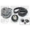 Image de Kit De Distribution + Pompe À Eau Quinton Hazell Qbpk9130