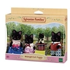 Image de La famille chat magicien