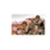 Image de Us Paratroops - 1:76e -